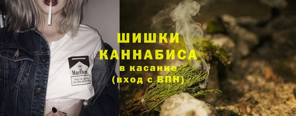 соль ск Арсеньев