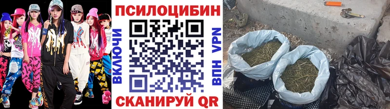 Псилоцибиновые грибы мицелий  Очёр 